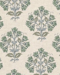 Mixedbag 2 Seedling by  Stout 