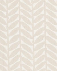 Mixup 1 Shell by  Stout 