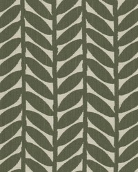 Mixup 2 Elm by  Stout 