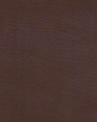 Mohave 1 Espresso by  Stout 