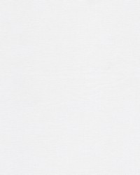 Moka 3 Bleach by  Stout 