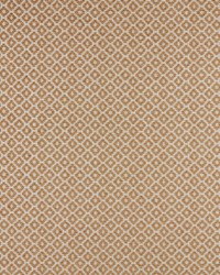 Moya 5 Toffee by  Premier Prints 