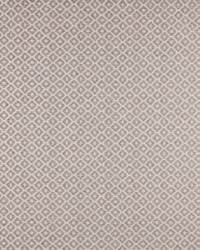 Moya 7 Fawn by  Premier Prints 