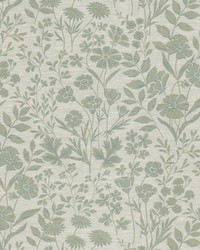 Mozart 2 Seaglass by   