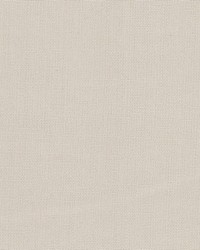 Mulvaney 2 Pumice by   