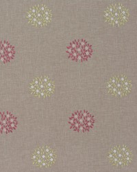 MUTTONVILLE 2 CARNATION by  Stout 