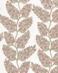 Navodari 1 Rosebud by  Stout 