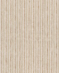 Newcomb 1 Chardonnay by  Stout 