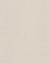 Ninja 1 Sand by  Stout 