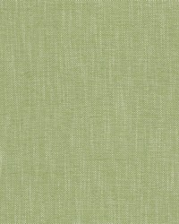 Ninja 2 Celery by  Stout 