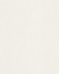 Ninja 3 Pearl by  Stout 