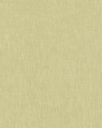 Nitro 4 Pistachio by  Stout 