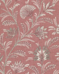 Nixon 2 Strawberry by  Stout 