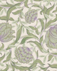 Noah 2 Vineyard by  Stout 