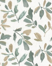 Notation 2 Aqua by  Stout 