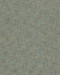 Novice 1 Peacock by  Stout 