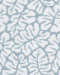 Oceanside 1 Sky by  Stout 