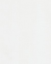 Olla 4 Snow by  Stout 