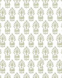 OSHKOSH 1 MUSHROOM OSHKOSH 1 MUSHROOM by