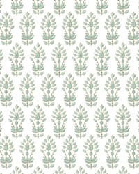 OSHKOSH 4 MINERAL by   