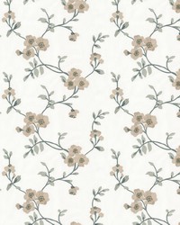 Outshine 1 Marine by   