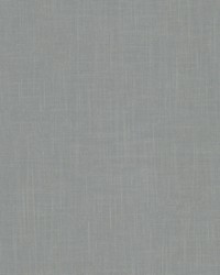 Panthera 1 Wedgewood by  Stout 