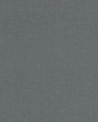 Panthera 2 Slate by  Stout 