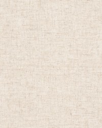 Panthera 3 Sand by  Stout 