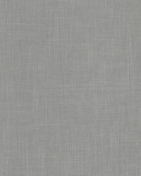 Panthera 4 Steel by  Stout 