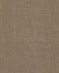 Panthera 5 Taupe by  Stout 