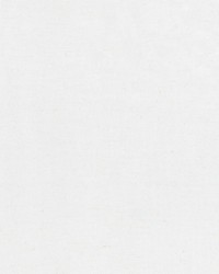 Panthera 6 Bone by  Stout 