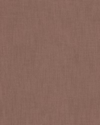 Passenger 1 Clove by  Stout 