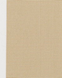 Patmore 2 Beige by   