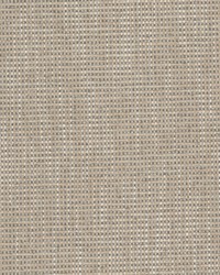 Patou 2 Sandalwood by  Stout 