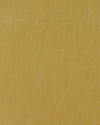 PENHURST 3 DAISY by  Stout 