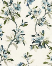 Peoria 2 Robinsegg by  Novel 