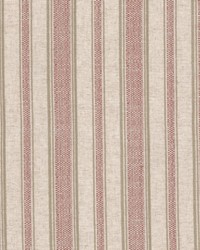 Pingpong 2 Tearose by  Stout 