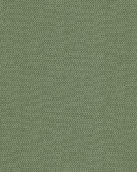 Pisces 3 Dill by  Stout 