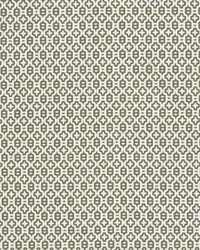 Polka 2 Olive by  Stout 