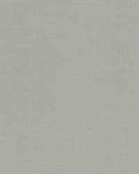 Popillia 1 Flint by  Stout 