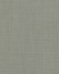 Popillia 2 Gunmetal by  Stout 