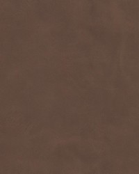 Psych 1 Bark by  Stout 