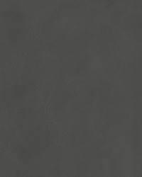 Psych 3 Charcoal by  Stout 