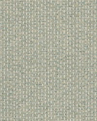 Pushup 1 Lime by  Stout 