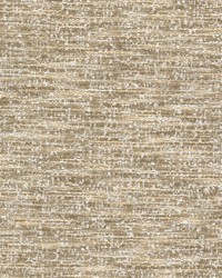 Racolata 1 Honey by  Mirage 