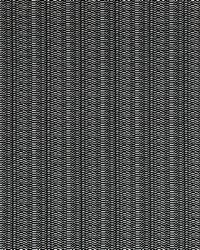 Remus 1 Black/cream by  Europatex 