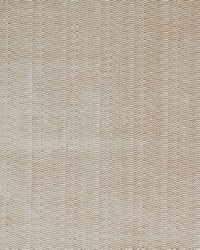 Remus 3 Tan by  Europatex 