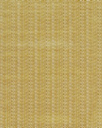 Remus 6 Antique by  Europatex 