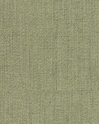 Renegade 3 Citrine by   