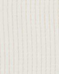 Replace 1 Bone by  Stout 